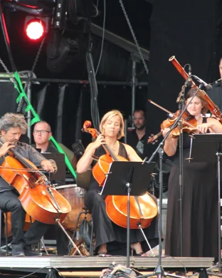 String Quartet St. Louis