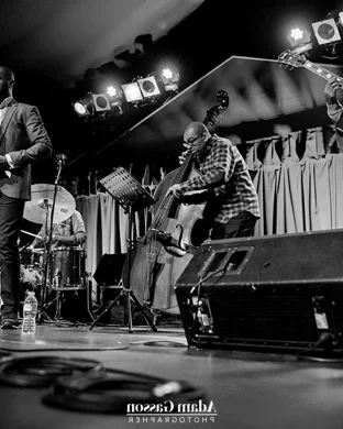 Jeff Goldblum And The Mildred Snitzer Orchestra St. Louis