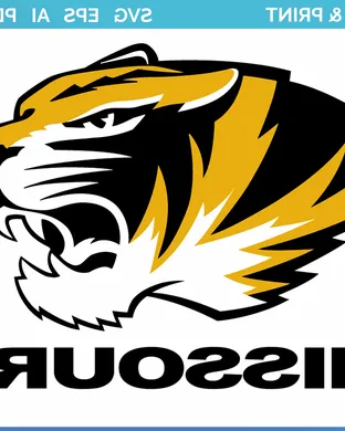 Missouri Tigers St Louis