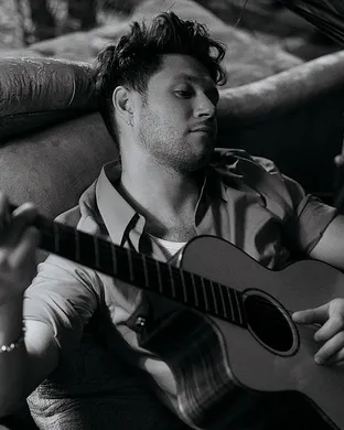 Niall Horan St. Louis